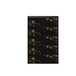 RFL Premio Wardrobe 5D Double-Aurora