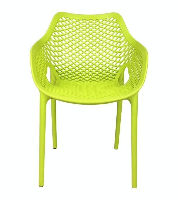 Stylee Champion Arm Chair